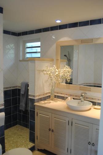 Un baño de Les Balcons d'Oyster Pond