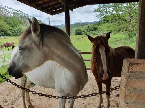 two horses are standing next to a fence at Espaço Casa na Rocha in São José dos Campos