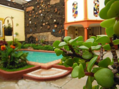 Gallery image of Hotel Casa Armonia in Guadalajara