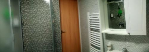 Un baño con ducha, lavabo y espejo. en Apartman Mahala one, en Sarajevo