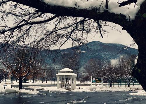 a gazebo in a park in the snow at The Lodge at Jackson Village in Jackson