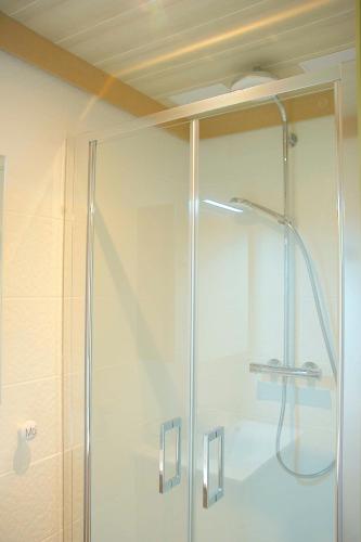 une douche avec une porte vitrée dans une salle de bain dans l'établissement Le 110, un grand studio 2 étoiles, pour tout faire à pied, à Aix-les-Bains