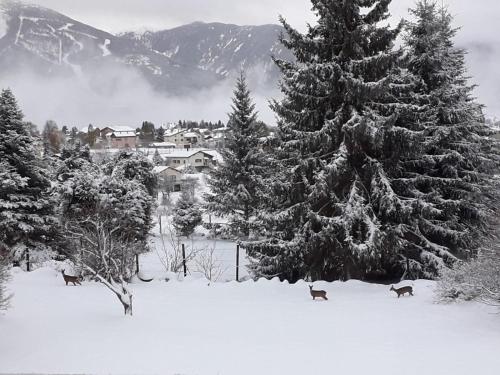 Les Flocons de Neige – Photos 3