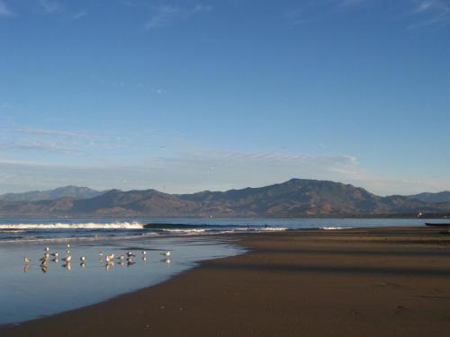 a group of birds standing on the beach at Hacienda La Rusa in Barra de Potosi
