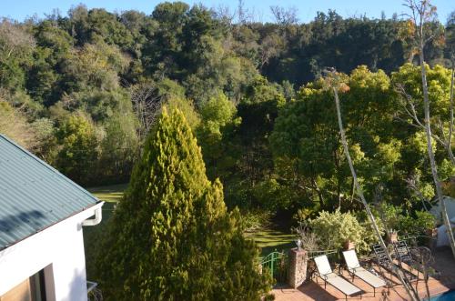 a view from the roof of a house with chairs and trees at Edenwood House in George