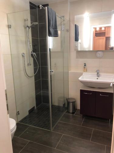 a bathroom with a shower and a toilet and a sink at FeWo Gretchen in Berchtesgaden