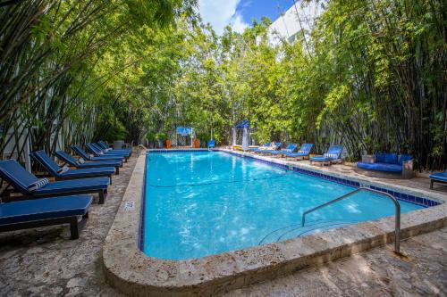 a large swimming pool with lounge chairs and trees at Catalina Hotel & Beach Club in Miami Beach