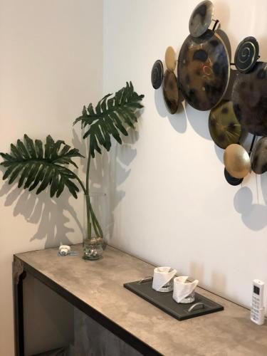 a table with pots and pans and a plant on it at Noha Casa de Campo in Colón