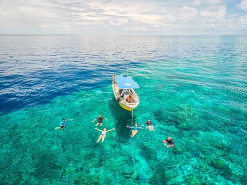 Koptur Papua Yeni Gine Gezip Gorduklerimiz Yolculuk Fotograf Geziler