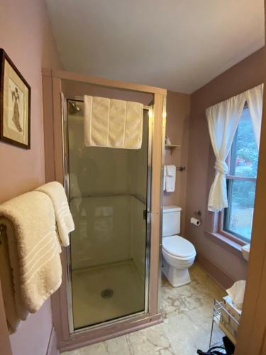 
a bathroom with a toilet, sink, and shower at Follansbee Inn in North Sutton
