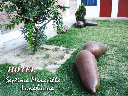 a picture of some vegetables laying on the grass at Hotel Septima Maravilla Lunahuana in Lunahuaná