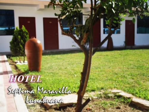 a tree in a yard next to a building at Hotel Septima Maravilla Lunahuana in Lunahuaná