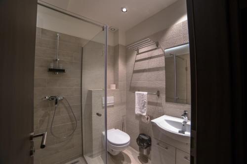 a bathroom with a shower and a toilet and a sink at Pensiunea Luceafărul Sibiu in Sibiu