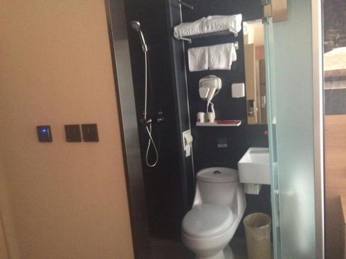 a bathroom with a toilet and a shower in it at Thank Inn Plus Hotel Hebei Langfang Art Avenue Danfeng Park Exhibition in Langfang