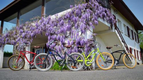 four bikes parked in front of a building with purple flowers at Maison d'hôtes MIRADOUR in Labenne