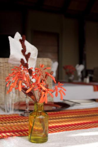 Φωτογραφία από το άλμπουμ του Bush Lodge – Amakhala Game Reserve σε Amakhala Game Reserve