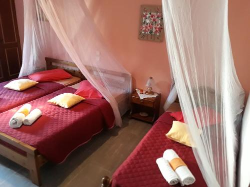 アギオス・ゴルディオスにあるSofia Margarita's Roomsのベッドルーム(蚊帳付きベッド2台付)
