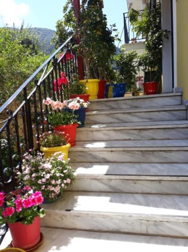 a group of potted plants on a staircase with flowers at MARGARITAS' ROOMS in Agios Gordios