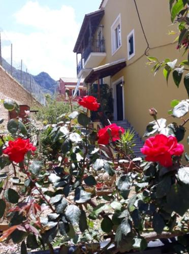 a bush of red roses in front of a building at MARGARITAS' ROOMS in Agios Gordios