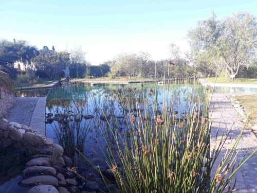 un étang d'eau avec des plantes devant lui dans l'établissement Douar Noujoum, à Essaouira