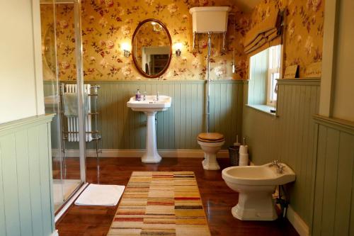 a bathroom with a sink and a toilet and a mirror at Crookedstone House in Antrim
