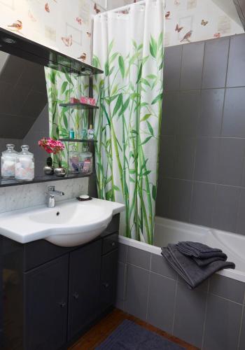 ein Bad mit einem Waschbecken und einem Duschvorhang in der Unterkunft LA VILLA DES ROCHES in Canteleu