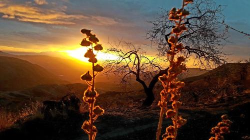 a view of the sunset from the top of a mountain at Cortijo Los Maximos in Turón