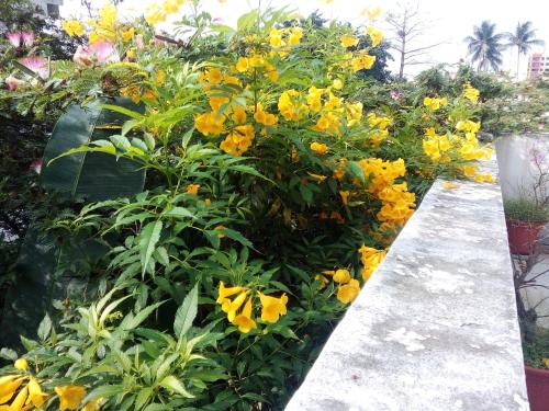 a garden with yellow flowers and a walkway at Villa Mango in Abidjan