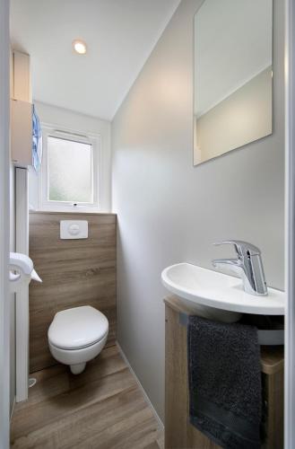 a bathroom with a toilet and a sink at KNAUS Campingpark Hennesee in Meschede