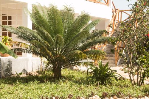 a palm tree in the middle of a yard at Villa Kiota in Paje