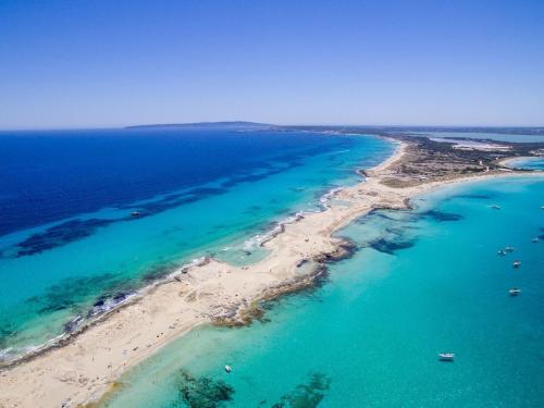 A bird's-eye view of Casa Rosella