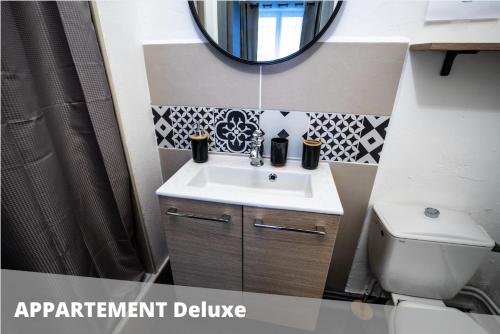 a bathroom with a sink and a mirror and a toilet at Les Apparts de Blossac Poitiers in Poitiers