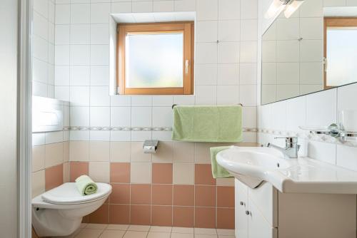 a bathroom with a toilet and a sink at Haus Niederösterreich in Kirchberg in Tirol