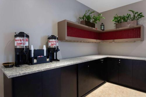 a kitchen with black cabinets and a counter with plants at Ramada by Wyndham Glendale Heights/Lombard in Glendale Heights