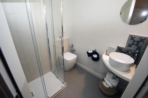 a bathroom with a shower and a toilet and a sink at B&B Torino Crocetta in Turin