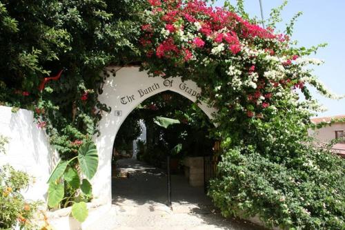 an archway with pink flowers and roses at The Bunch Of Grapes Inn in Pissouri