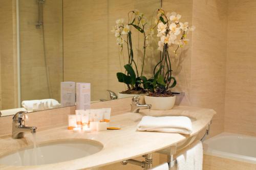 a bathroom with a sink and a large mirror at Hotel Capannelle Roma in Rome