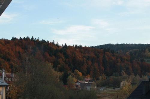 a hillside with trees in the background at Apartamenty Ski & Fun Spokojna in Wisła