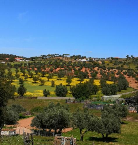 Φυσικό τοπίο κοντά σε αυτός ο ξενώνας