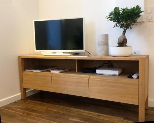 een televisie op een houten plank met een plant erop bij LE NID DES ROIS, à 2 pas de la Cathédrale in Reims