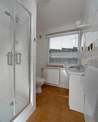a bathroom with a shower and a toilet and a sink at Pension Jana - Wellness in Jilemnice