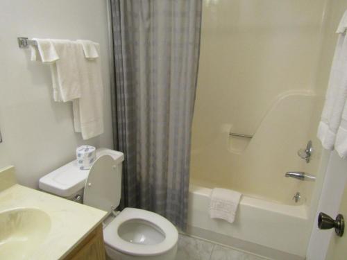 Un baño con inodoro, ducha y lavabo. en Cozt Downstairs Skyleaf D1 Condo, en Sugar Mountain