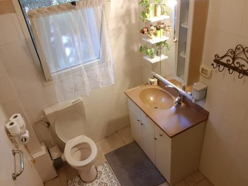 ハゴシュリムにあるBrush and Windのバスルーム(トイレ、洗面台、鏡付)