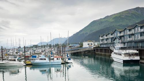 a bunch of boats are docked in a harbor at Harbor 360 Hotel Seward in Seward