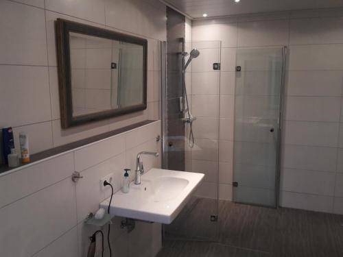 a bathroom with a sink and a shower with a mirror at Haus Rangau für Ferien-und Messen in Wendelstein