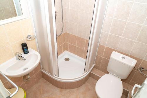 a bathroom with a shower and a toilet and a sink at Sunshine Pension in Karlovy Vary