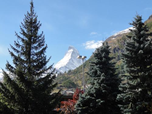 Gallery image of Hotel Cima in Zermatt