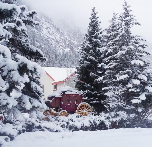 a horse drawn carriage in the snow next to trees at Hot Springs Inn in Ouray