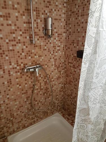 ein Bad mit Dusche und Duschvorhang in der Unterkunft Kozatskiy Dvir in Stryi