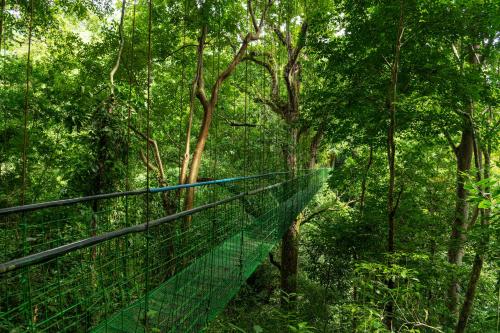 Fotografie z fotogalerie ubytování Villa Lapas Jungle Village v destinaci Jacó